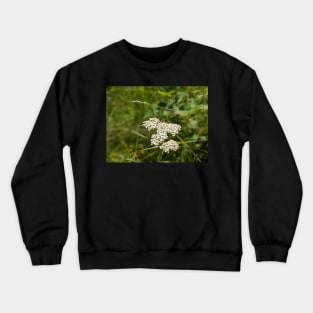 White bunch flowers in field Crewneck Sweatshirt